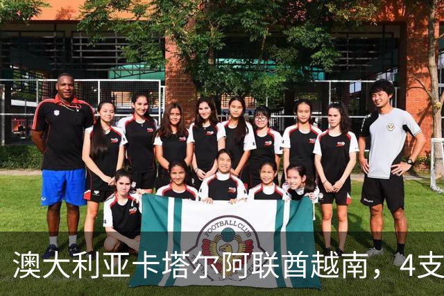 澳大利亚卡塔尔阿联酋越南，4支男足遭受重创，中国第一档出线